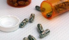 A pill bottle on its side with pill capsules containing shredded paper money