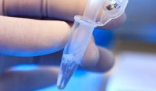 Hand in a latex glove holding a test tube in a lab