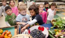 Children looking at healthy foods at a market