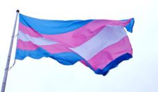 Transgender flag, San Francisco, 2012