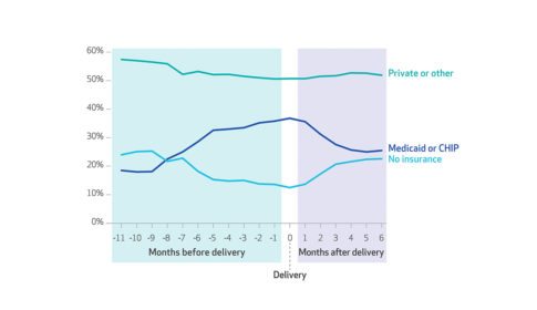 Graph showing percentages of women who gave birth in the period 2005-13, by health insurance type and month before or after delivery