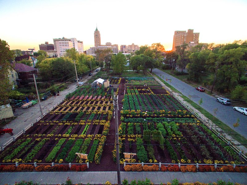Aerial shot of urban gardens in Detroit