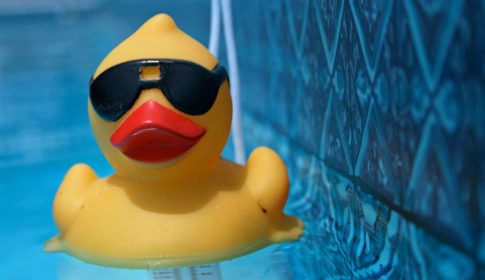 A rubber duck wearing sunglasses in a pool