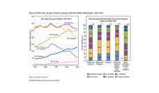 Graphs showing trends in ages of motherhood