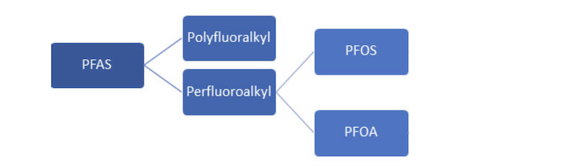 Diagram of the PFAS chemical family tree