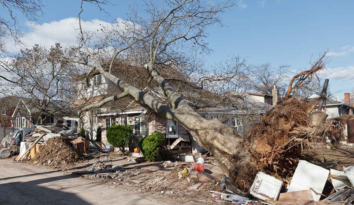 Tree on top of a house on Staten Island after Hurricane Sandy