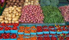 A produce market with tomatoes, potatoes, and other vegetables