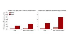 Graphs comparing risk of paternal imprisonment in 1978 and 1990