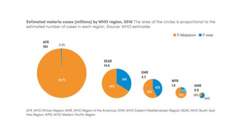 Graphic showing estimated P. falciparum and P. vivax malaria cases by WHO region