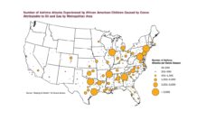 Map of US showing asthma attacks of African American children