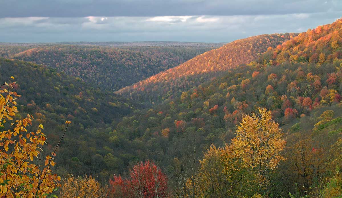 Forest covered mountains surrounding a valley