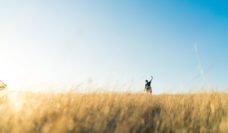 Person taking a selfie in a field