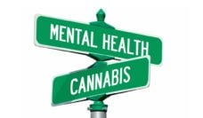 Street sign intersection: Mental Health and Cannabis
