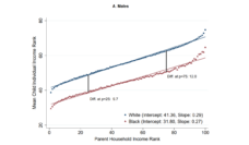 Graph showing income inequality between black and white males