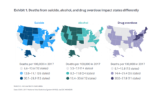 Graph showing deaths form suicide, alcohol and drug overdose impacts in US states