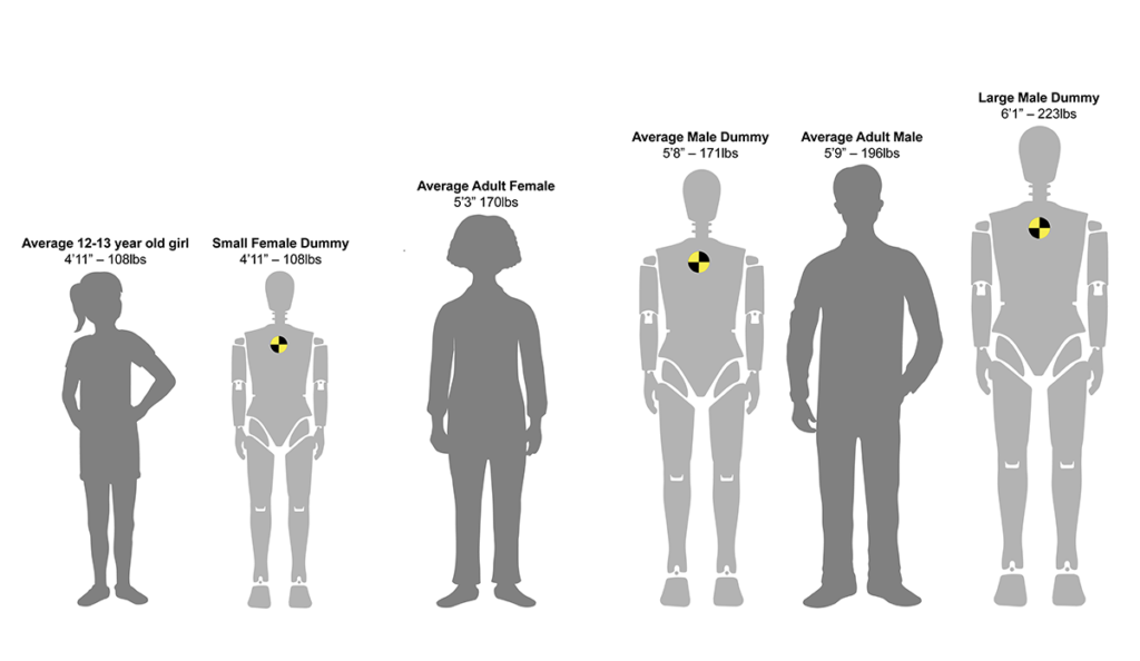 It’s the Crash, Dummy Public Health Post