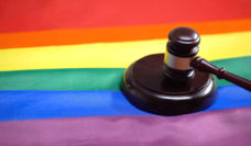 rainbow flag with gavel