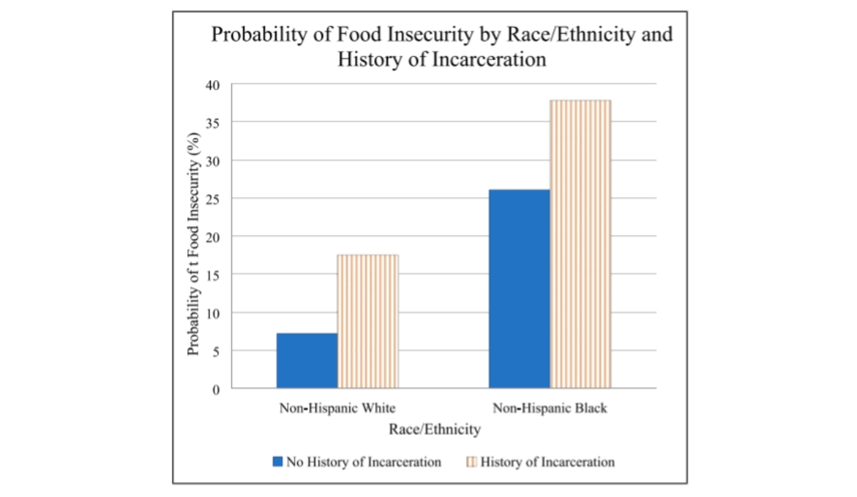 graph depicting the probability of food insecurity by race/ethnicity and history of incarceration.