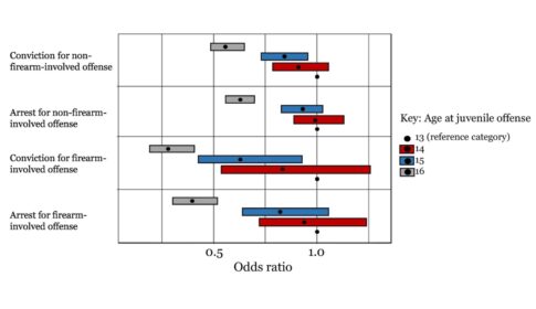 graph comparing firearm violence, level of crime, and age of offense