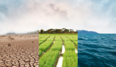 triptych of the environment, with dirt, grass, and water