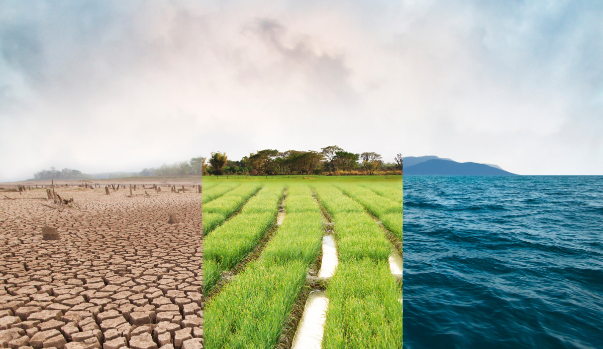 triptych of the environment, with dirt, grass, and water