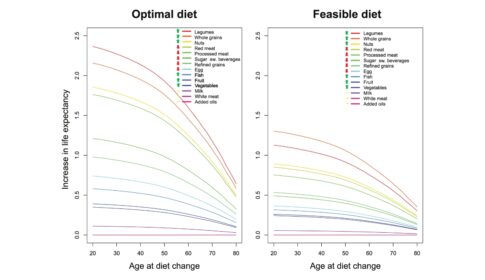 two graphs depicting life expectancy with an optimal diet (left) and a feasible diet (right)