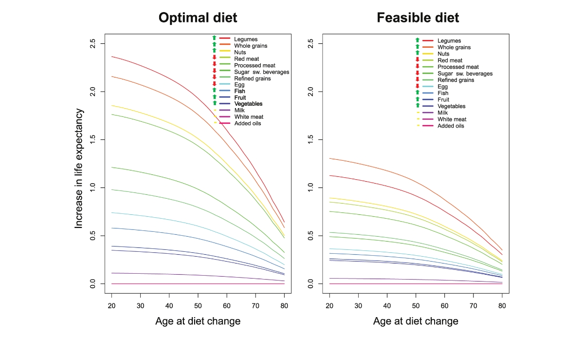 two graphs depicting life expectancy with an optimal diet (left) and a feasible diet (right)