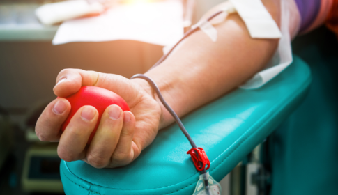 arm of patient participating in blood donation