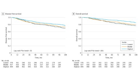 line graphs representing associations of lifestyle index scores at baseline with cancer-free survival and overall survival