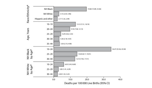 graph depicting pregnancy-associated homicide rates among persons aged 10–44 years by race/ethnicity and age