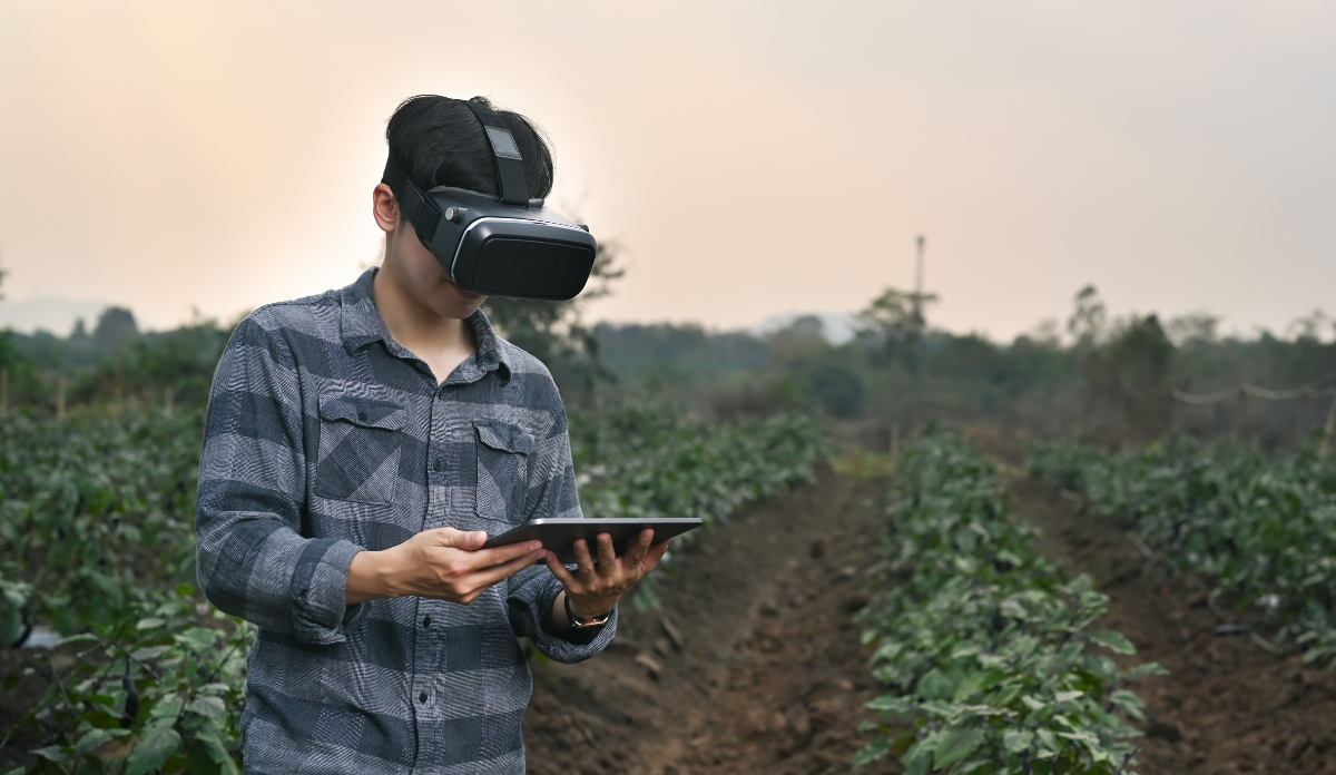 young man stands in field of crops wearing a virtual reality headset as part of an agricultural safety program