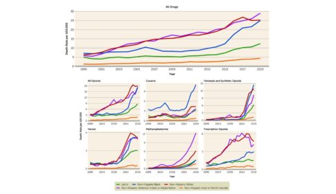 graphs showing drug-related overdose mortality per 100,000 by race/ethnicity and type of drugs involved