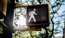 walk signal on at crosswalk, signifying it is safe for pedestrians to cross