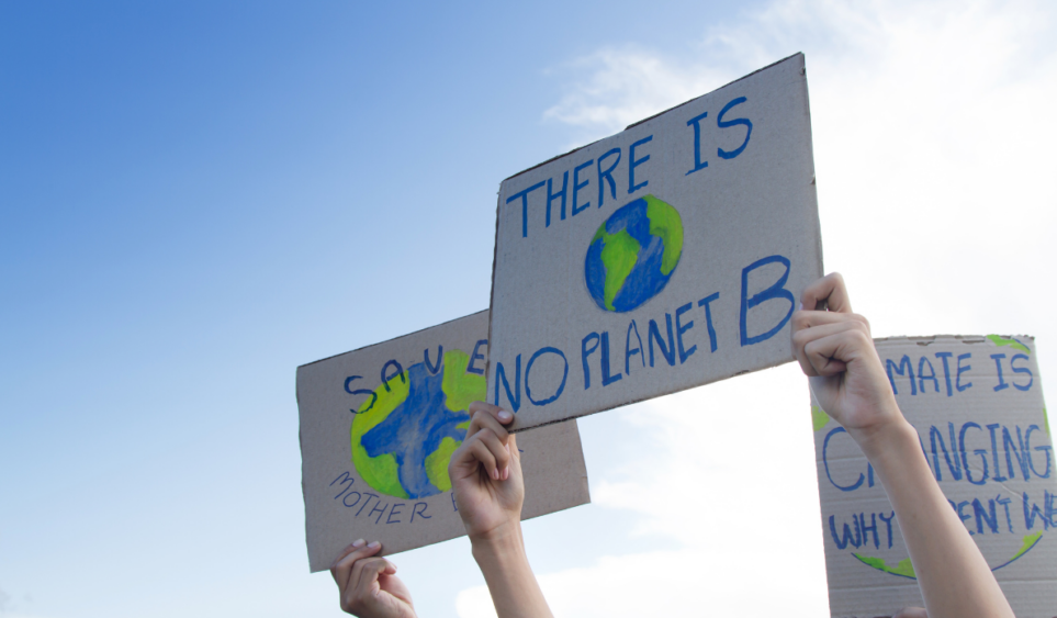 protesters holding signs calling out a lack of action on climate change