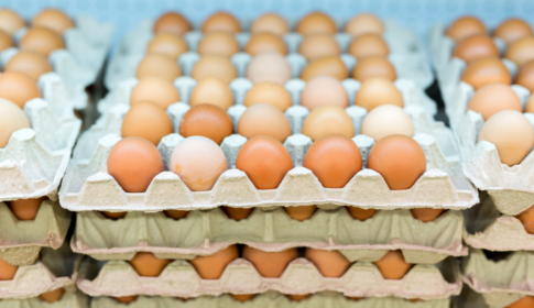 close up image of eggs in the poultry aisle refrigerator at the grocery store