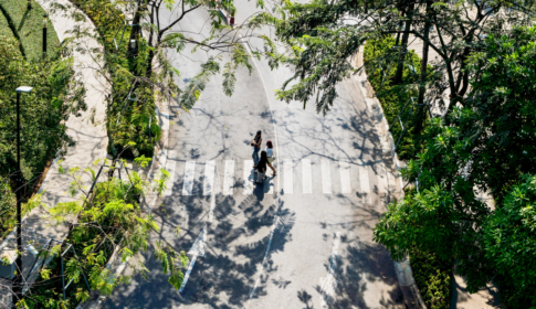 Aerial view of pedestrians crossing a zebra crossing amidst the green canopy of trees and the surrounding urban environment
